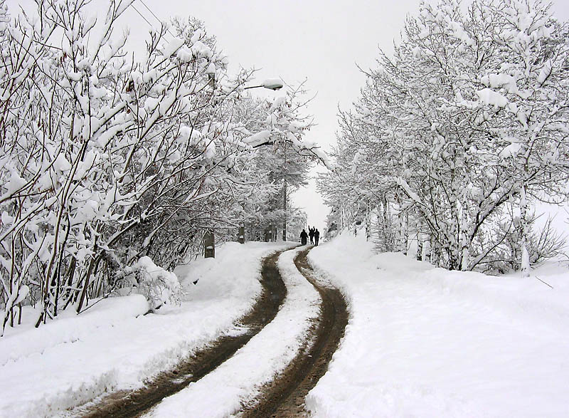 بارش برف و باران مسافران نوروزی گیلان را غافلگیر کرد/ ارتفاع برف در ماسوله به ۲۰ سانتی متر رسید
