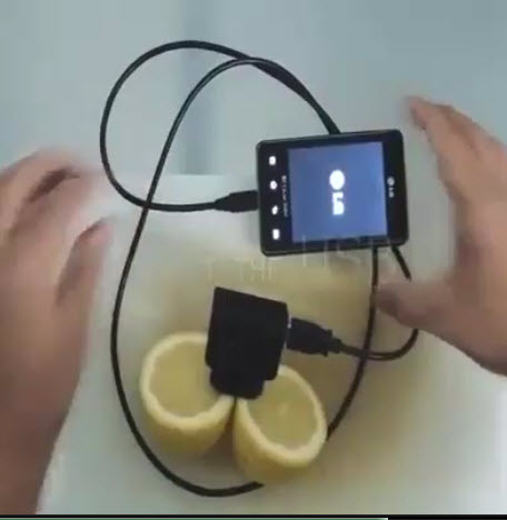 شارژ موبایل با لیمو ترش