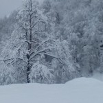 photo 2016 04 02 22 57 42 150x150 - گالری تصاویر برف بهاری جواهردشت سیاهکلرود