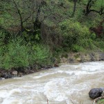 photo 2016 04 02 22 59 04 150x150 - سیزده بدر در رودخانه سموش رحیم آباد به روایت تصویر