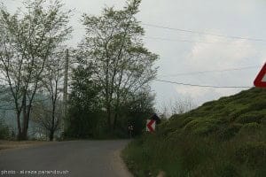 کتشال 16 - زیبایی های خیره کننده طبیعت زیبای بهاری کتشال لاهیجان به روایت تصویر - پیشنویس