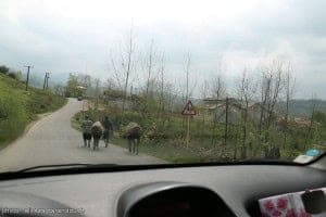 کتشال 8 - زیبایی های خیره کننده طبیعت زیبای بهاری کتشال لاهیجان به روایت تصویر - پیشنویس