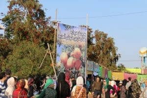 جشنواره‌ بهارنارنج در لنگرود 2 - جشنواره‌ بهارنارنج در لنگرود برگزار شد + تصاویر -