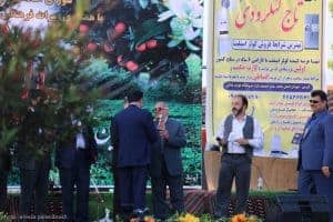 جشنواره‌ بهارنارنج در لنگرود 33 - جشنواره‌ بهارنارنج در لنگرود برگزار شد + تصاویر -