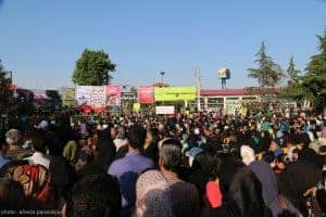 جشنواره‌ بهارنارنج در لنگرود 5 - جشنواره‌ بهارنارنج در لنگرود برگزار شد + تصاویر -