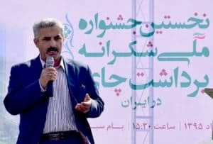 پیوست فرهنگی لازمه رشد چای است/ مسئولان و هنرمندان برای چای ایرانی تبلیغ کنند