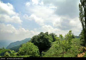 های لاهیجان هفت پیچ 7 - زیبایی‌های منطقه هفت‌پیچ لاهیجان + تصاویر -