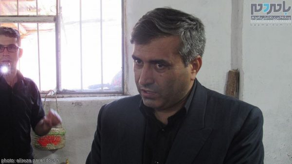 شاه محمدی