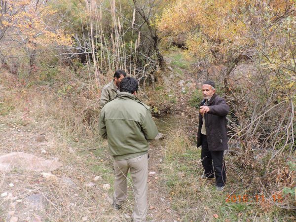 اقدامات اداره حفاظت از محیط زیست رودبار پس از مشاهده یک قلاده پلنگ در روستای انبوه