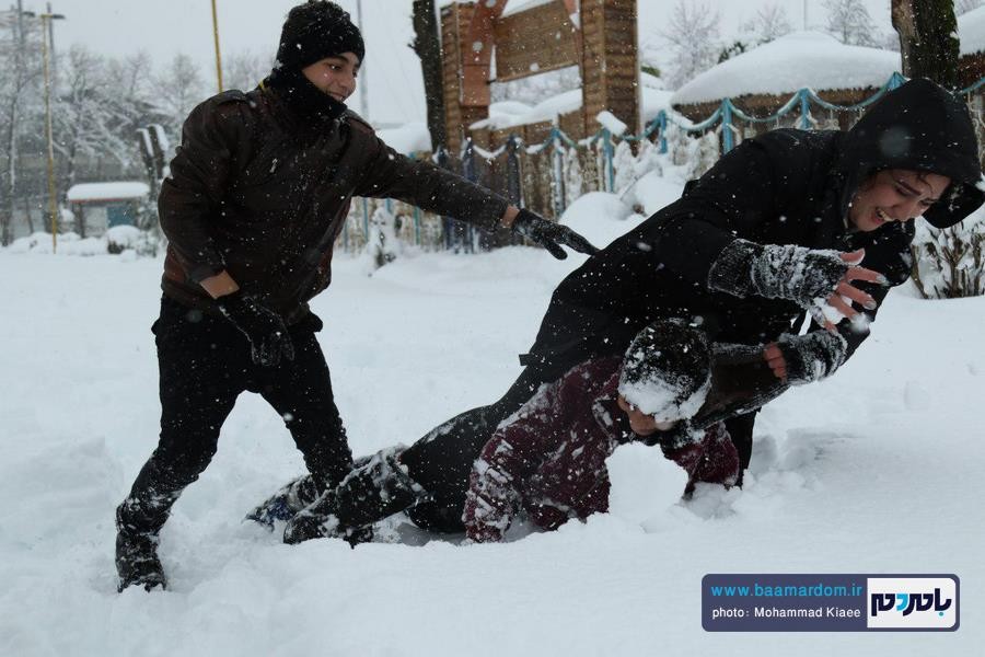 برف 14 بهمن لاهیجان 15 - از شادی شهروندان در یک روز برفی تا سقوط درختان و قطع کابل های برق و مردان پشت صحنه - baamardom