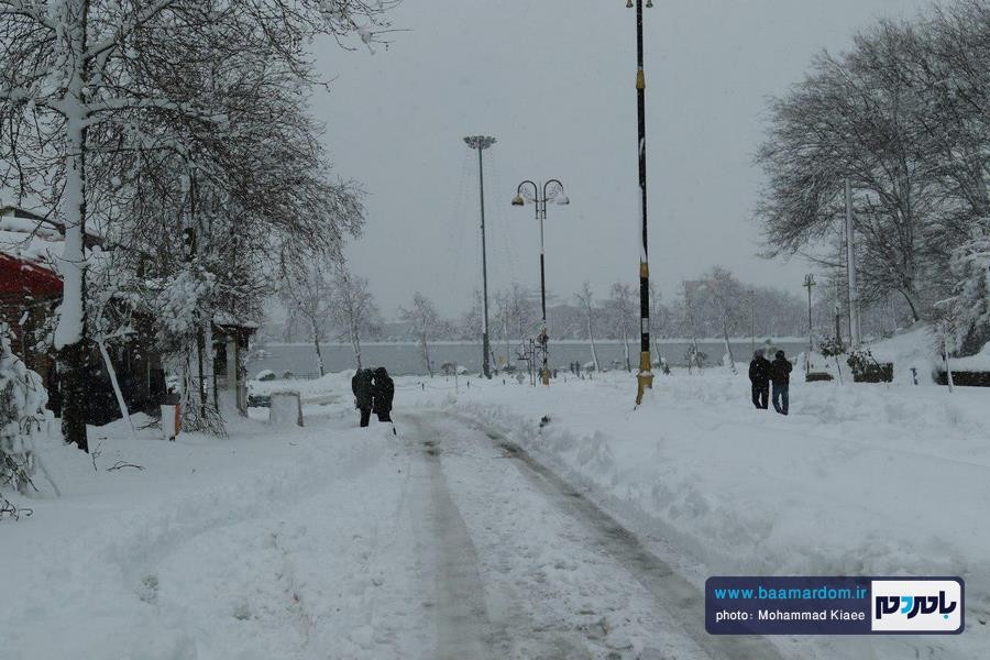 برف 14 بهمن لاهیجان 24 - از شادی شهروندان در یک روز برفی تا سقوط درختان و قطع کابل های برق و مردان پشت صحنه - baamardom