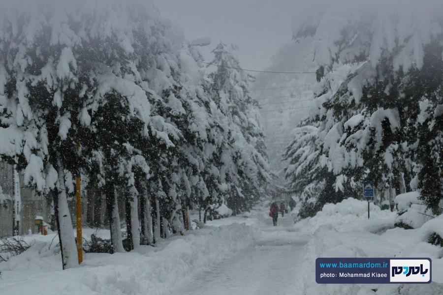 برف 14 بهمن لاهیجان 28 - از شادی شهروندان در یک روز برفی تا سقوط درختان و قطع کابل های برق و مردان پشت صحنه - baamardom