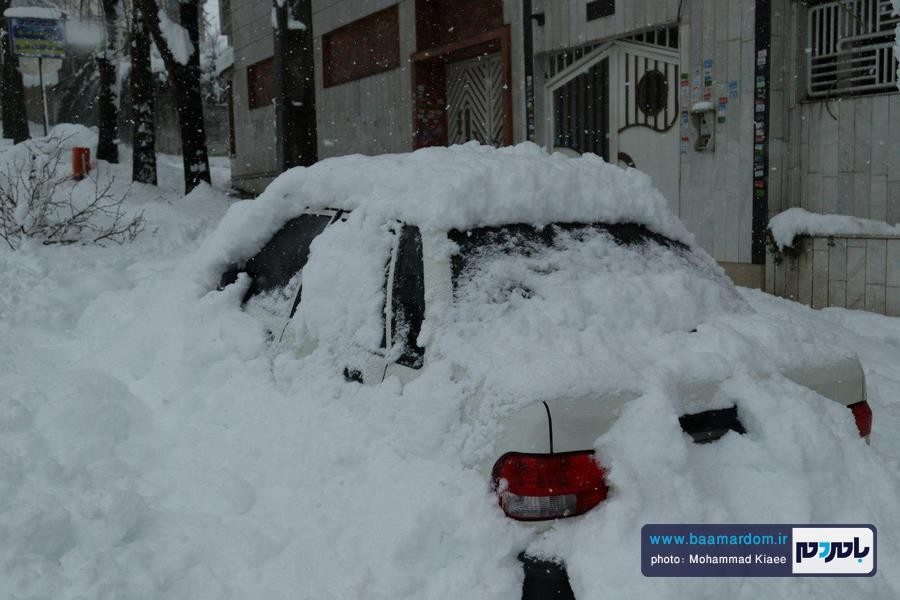 برف 14 بهمن لاهیجان 29 - از شادی شهروندان در یک روز برفی تا سقوط درختان و قطع کابل های برق و مردان پشت صحنه - baamardom