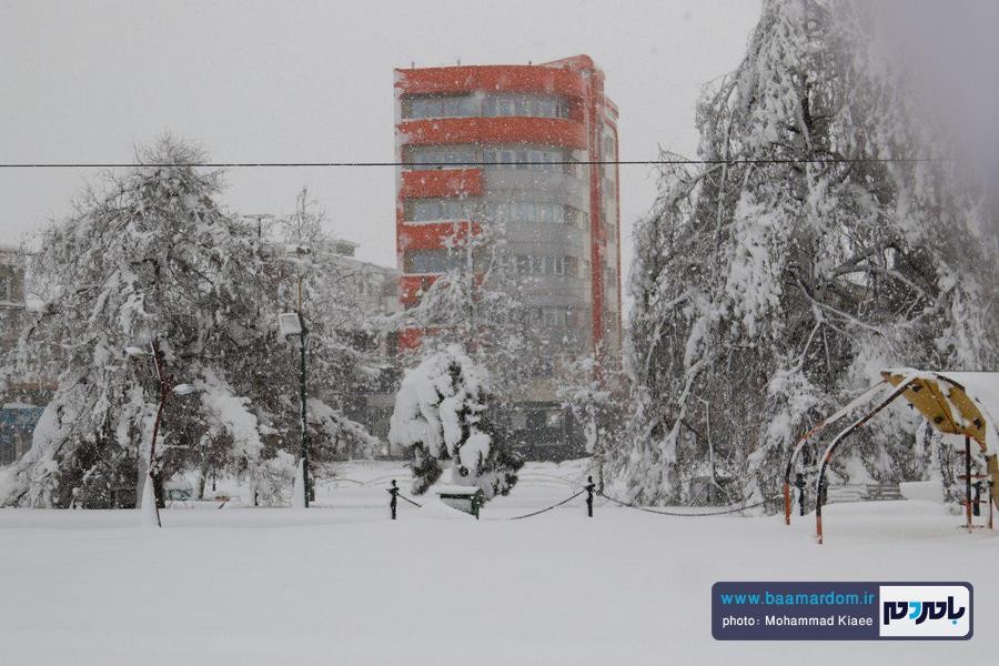 برف 14 بهمن لاهیجان 4 - از شادی شهروندان در یک روز برفی تا سقوط درختان و قطع کابل های برق و مردان پشت صحنه - baamardom