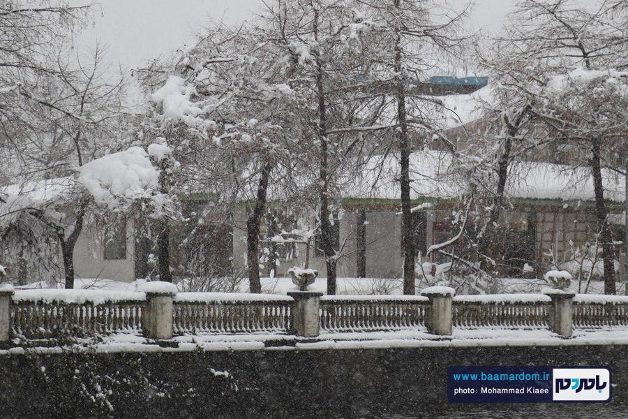 برف 14 بهمن لاهیجان 6 - از شادی شهروندان در یک روز برفی تا سقوط درختان و قطع کابل های برق و مردان پشت صحنه - baamardom