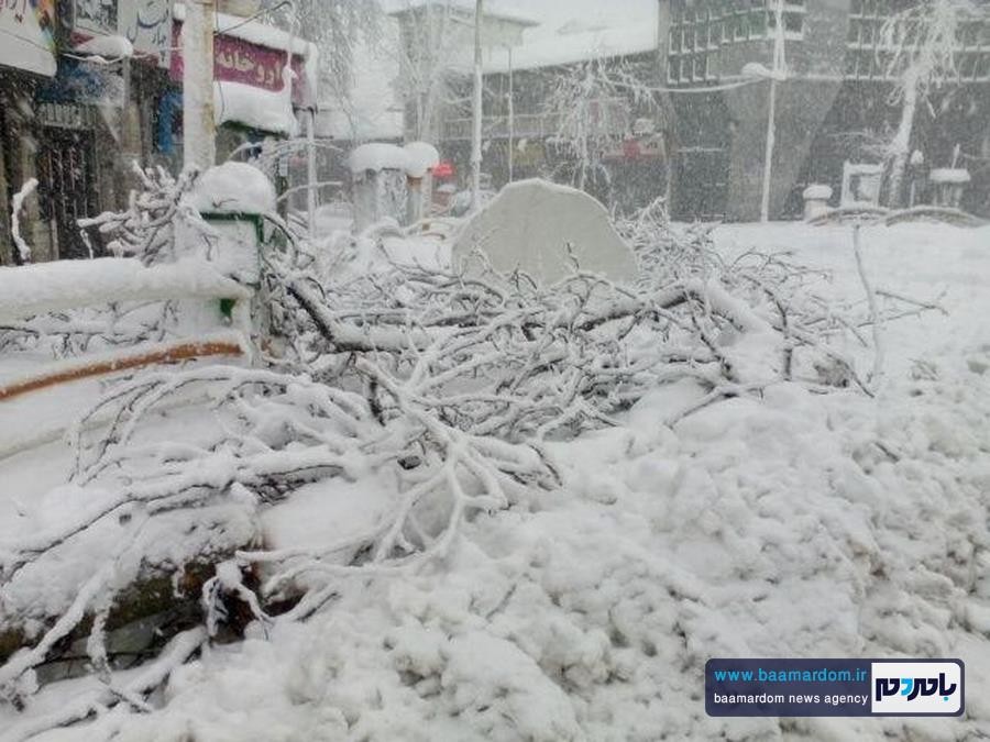 بارش شدید برف لاهیجان | بسته شدن اتوبان | سقوط درختان + گزارش تصویری