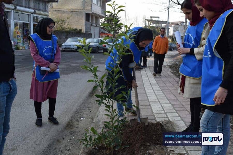 همایش نهالکاری و زیباسازی در سطح شهر سیاهکل برگزار شد + گزارش تصویری