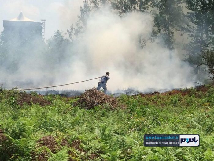 ١٥٥ مورد آتش‌سوزی علفزار و پوشش جنگلی در لاهيجان | تصاویر