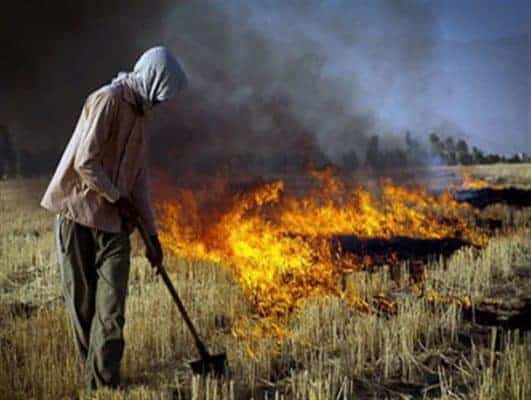 برنج آتش - هوای دودی گیلان در فصل برداشت برنج - آتش