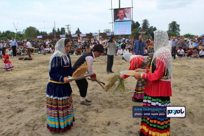 جشن شکرگزاری برداشت برنج در چابکسر | گزارش تصویری