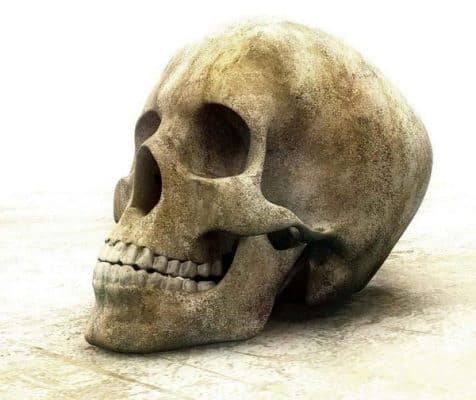 جمجمه - کشف جمجمه انسان در آزاد راه رشت-قزوین - جمجمه