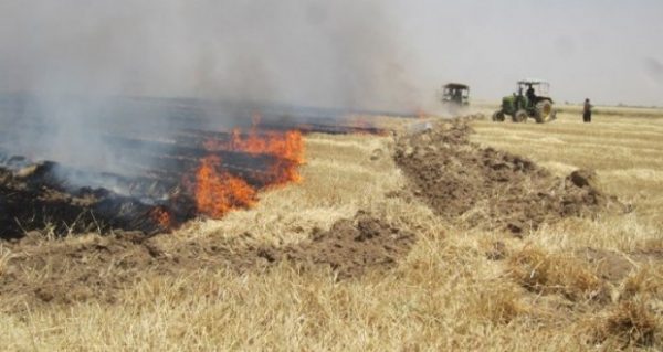 آتش زدن کاه و کلش - آتش بس در مزارع! -