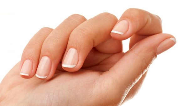 سلامت ناخن ها - ۸ گزینه غذایی برای افزایش استحکام و سلامت ناخن ها - سلامت ناخن