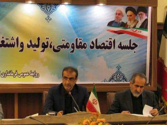 سید محمد احمدی 4 - استفاده از ظرفیت های درونی و افزایش تولید بصورت جدی دنبال می شود - اقتصاد
