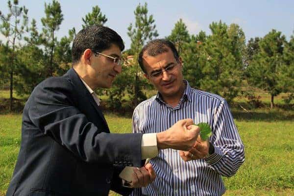 آغاز نخستین مرحله برداشت گیاهان دارویی کمیاب در دانشگاه آزاد رشت 1 - آغاز نخستین مرحله برداشت گیاهان دارویی کمیاب در دانشگاه آزاد رشت + تصاویر - دانشگاه آزاد رشت