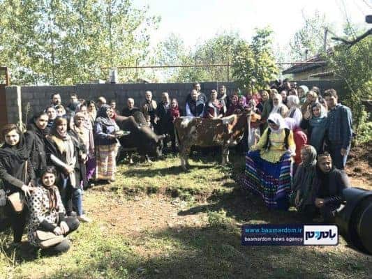 جشنواره «ورزا مشته» آیین پاسداشت خیر و برکت گیلان 4 - جشنواره «ورزا مشته» آیین پاسداشت خیر و برکت گیلان برگزار شد + تصاویر - آیین