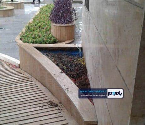 دزدی کاکتوس‌های میلیونی شهرداری آستانه‌اشرفیه 1 - دزدی کاکتوس‌های میلیونی شهرداری آستانه‌اشرفیه برای دومین بار! + تصاویر - آستانه