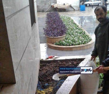 دزدی کاکتوس‌های میلیونی شهرداری آستانه‌اشرفیه 2 - دزدی کاکتوس‌های میلیونی شهرداری آستانه‌اشرفیه برای دومین بار! + تصاویر - آستانه