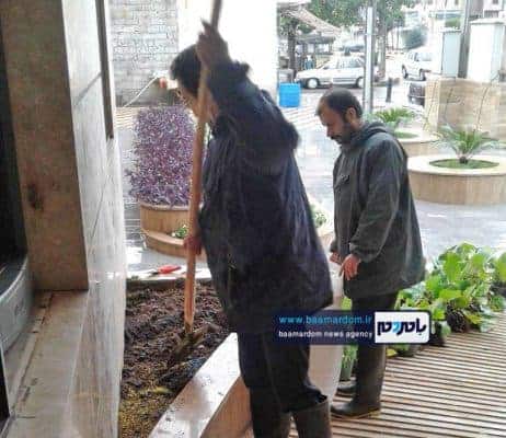 دزدی کاکتوس‌های میلیونی شهرداری آستانه‌اشرفیه 3 - دزدی کاکتوس‌های میلیونی شهرداری آستانه‌اشرفیه برای دومین بار! + تصاویر - آستانه