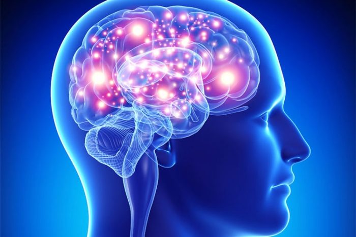 جوانسازی مغز با این رژیم خوراکی فوق مغذی/ چگونه حافظه خود را تقویت کنیم؟