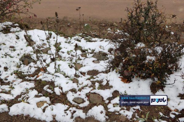 نخستین برف پاییزی در اشکور گیلان 1 - نخستین برف پاییزی در اشکور گیلان | گزارش تصویری - اشکور گیلان