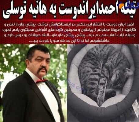57747 334 - كنايه بازيگر معروف به هانيه توسلی و پست جنجالی اش -