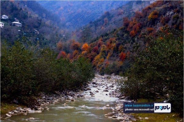 پاییر گیلان 3 - طبیعت زیبای گیلان در پاییزی که گذشت | گزارش تصویری - بامردم