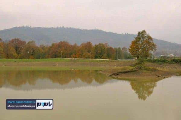 پاییر گیلان 6 - طبیعت زیبای گیلان در پاییزی که گذشت | گزارش تصویری - بامردم