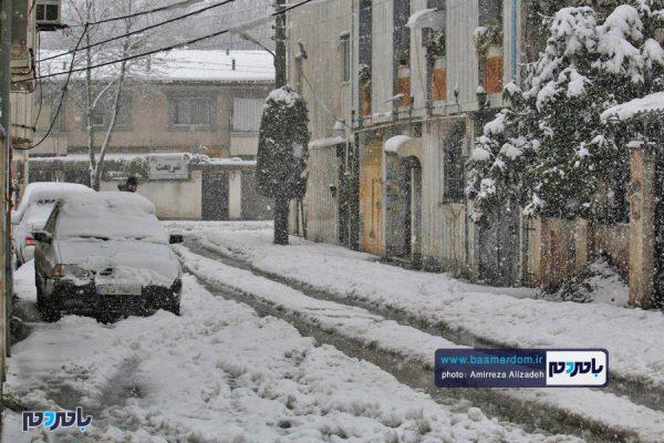 تصاویر بسیار زیبا و دیدنی از منظره‌های برفی در لاهیجان 4 - تصاویر بسیار زیبا و دیدنی از منظره‌های برفی در لاهیجان - امیررضا علیزاده