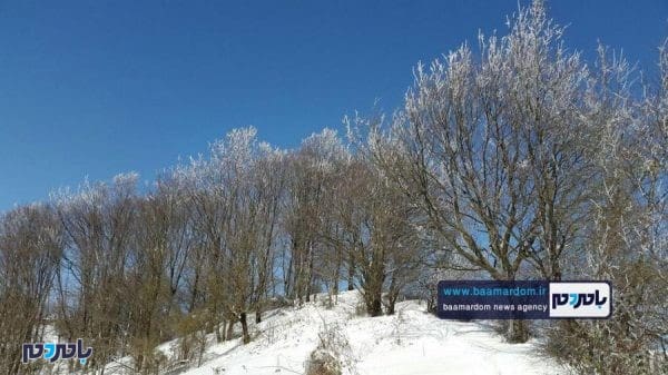 زیبایی‌های منطقه هفت‌پیچ لاهیجان پس از بارش اولین برف 14 - زیبایی‌های منطقه هفت‌پیچ لاهیجان پس از بارش اولین برف زمستانی - برف