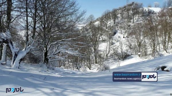 زیبایی‌های منطقه هفت‌پیچ لاهیجان پس از بارش اولین برف 15 - زیبایی‌های منطقه هفت‌پیچ لاهیجان پس از بارش اولین برف زمستانی - برف