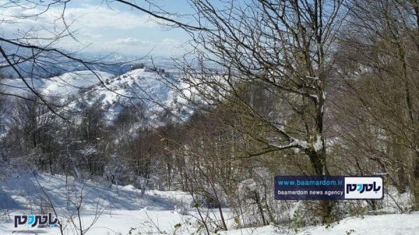 زیبایی‌های منطقه هفت‌پیچ لاهیجان پس از بارش اولین برف 16 - زیبایی‌های منطقه هفت‌پیچ لاهیجان پس از بارش اولین برف زمستانی - برف