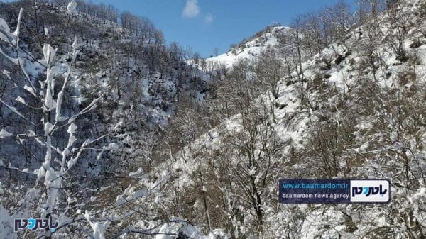 زیبایی‌های منطقه هفت‌پیچ لاهیجان پس از بارش اولین برف 2 - زیبایی‌های منطقه هفت‌پیچ لاهیجان پس از بارش اولین برف زمستانی - برف