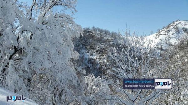 زیبایی‌های منطقه هفت‌پیچ لاهیجان پس از بارش اولین برف 5 - زیبایی‌های منطقه هفت‌پیچ لاهیجان پس از بارش اولین برف زمستانی - برف
