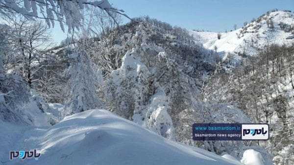 زیبایی‌های منطقه هفت‌پیچ لاهیجان پس از بارش اولین برف 7 - زیبایی‌های منطقه هفت‌پیچ لاهیجان پس از بارش اولین برف زمستانی - برف