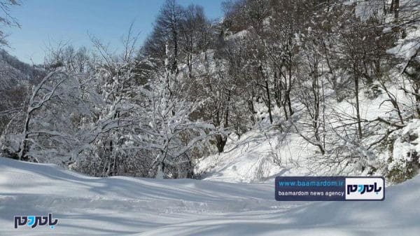 زیبایی‌های منطقه هفت‌پیچ لاهیجان پس از بارش اولین برف 9 - زیبایی‌های منطقه هفت‌پیچ لاهیجان پس از بارش اولین برف زمستانی - برف