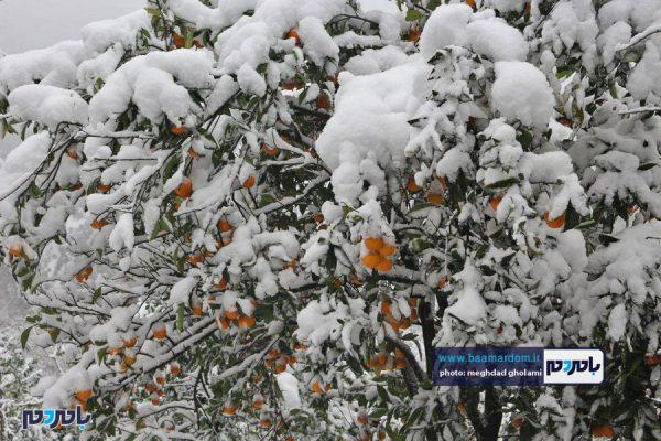 سفید پوش شدن برخی روستاهای رحیم آباد رودسر 4 - سفید پوش شدن برخی روستاهای رحیم آباد رودسر + تصاویر - برف