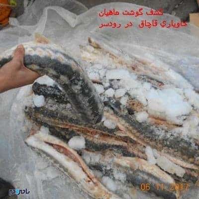 كشف 130 كيلو گرم گوشت خاويار قاچاق دررودسر - كشف 130 كيلو گرم گوشت خاويار قاچاق در رودسر - پلیس رودسر
