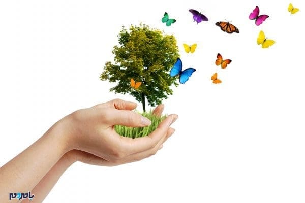 اهدا نهال - ۲۵هزار اصله نهال در لاهیجان توزیع می‌شود - آبخیزداری لاهیجان