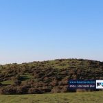 دهکده ییلاقی «خصیل دشت» املش 5 - تصاویری دیدنی از دهکده ییلاقی «خصیل دشت» املش - املش